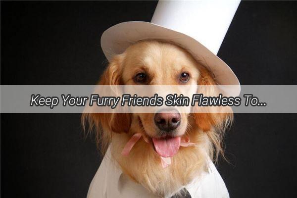 Keep Your Furry Friends Skin Flawless Top Tips to Prevent Food Residue